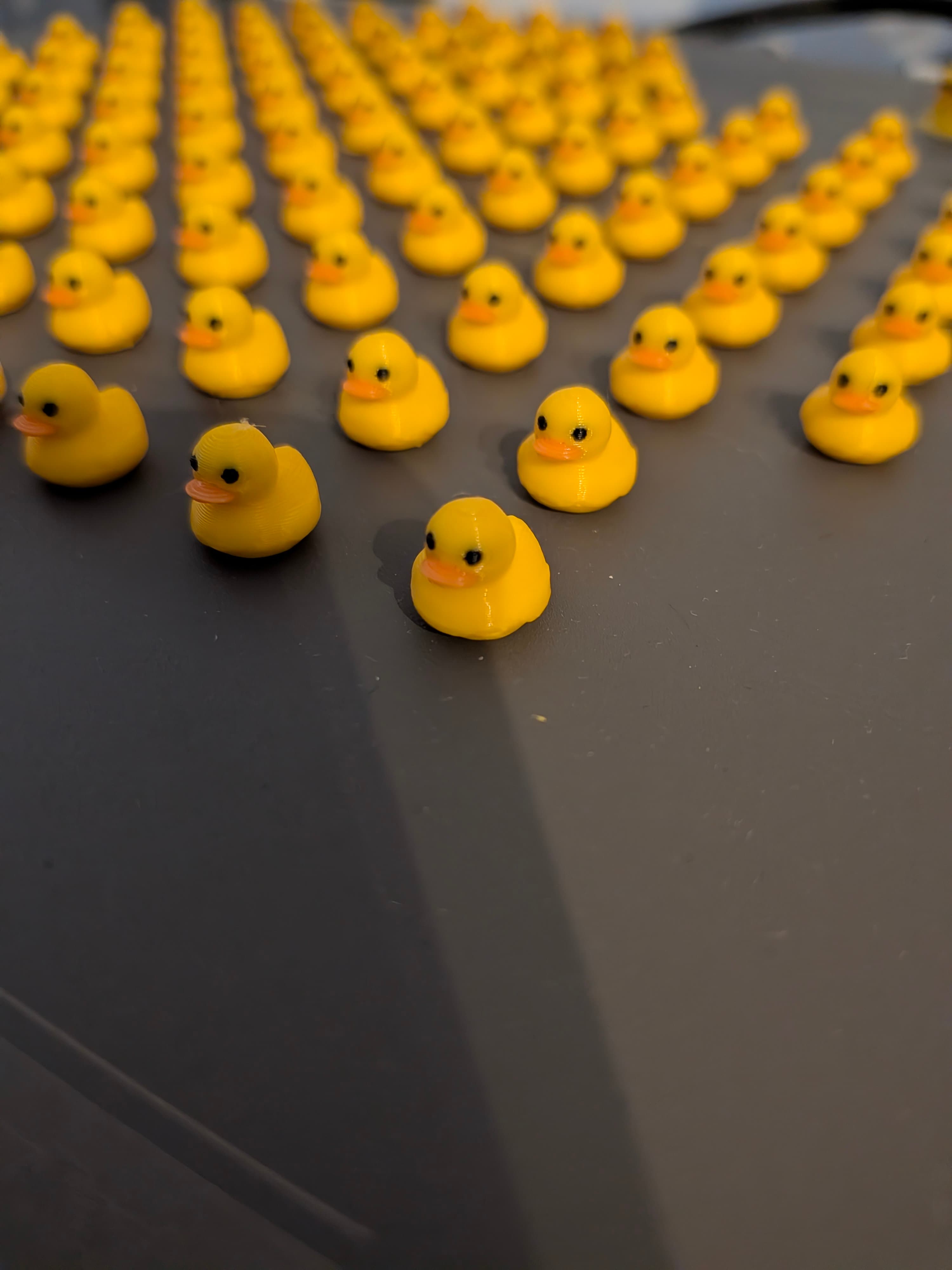 Mini ducks 1
