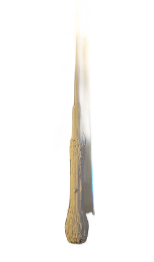 Wizard’s Wand